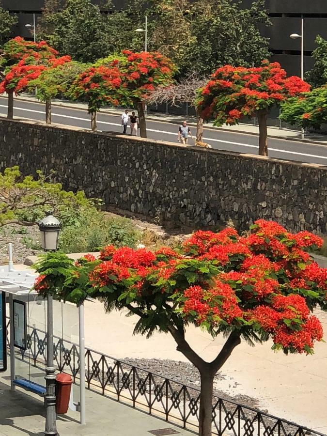 San Sebastian 65 Leilighet Santa Cruz de Tenerife Eksteriør bilde